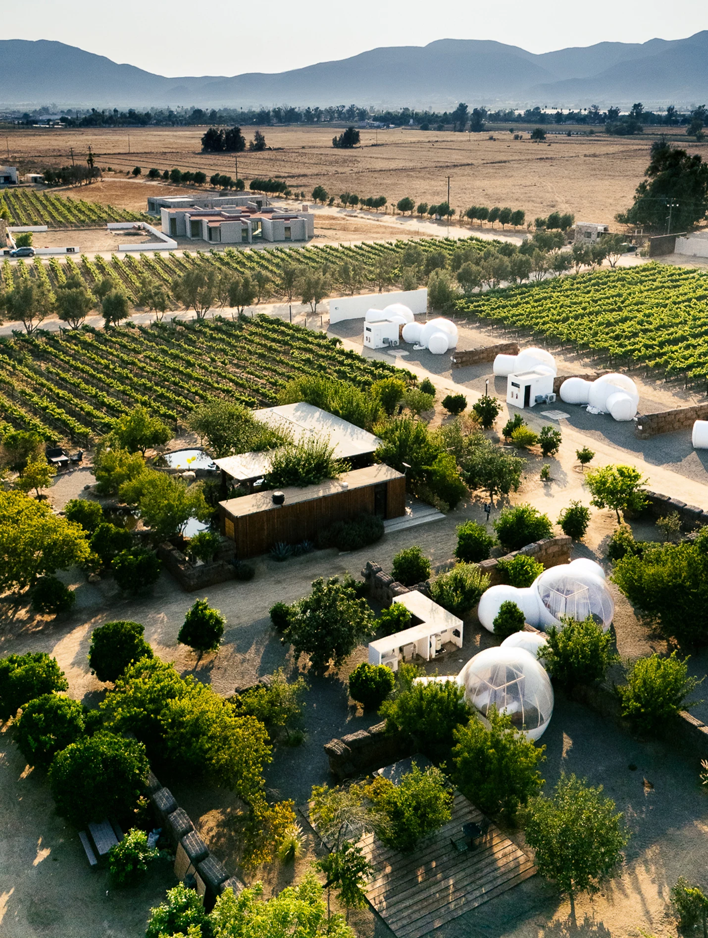 Lote campestre en Docepiedras Wine Club, Valle de Guadalupe